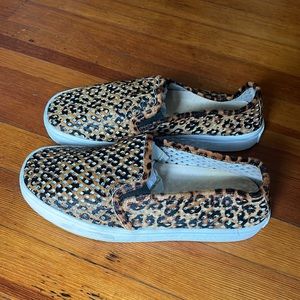 Leopard Jibs Life Classic